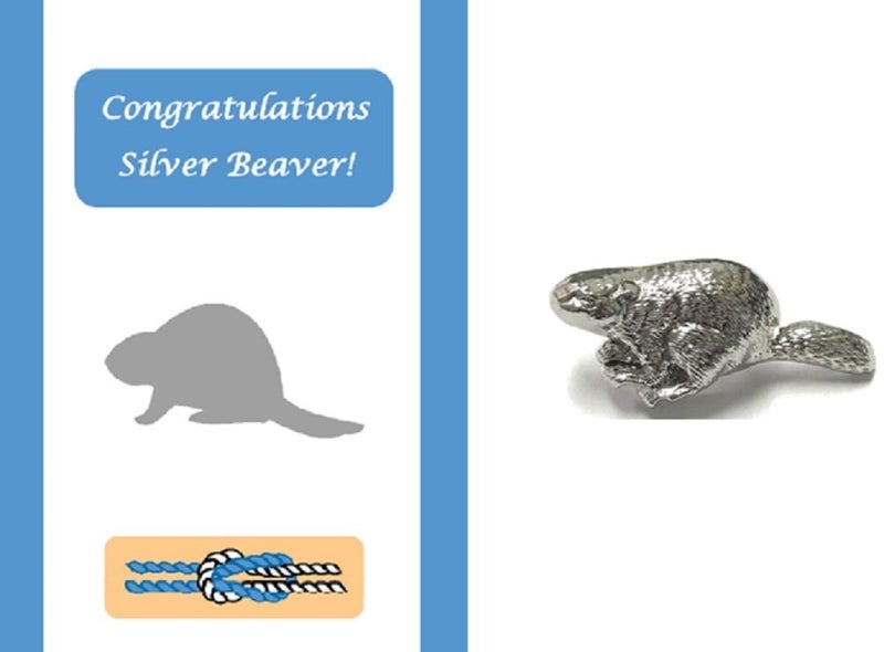 Silver Beaver Congratulations Card and Lapel Pin Gift Set